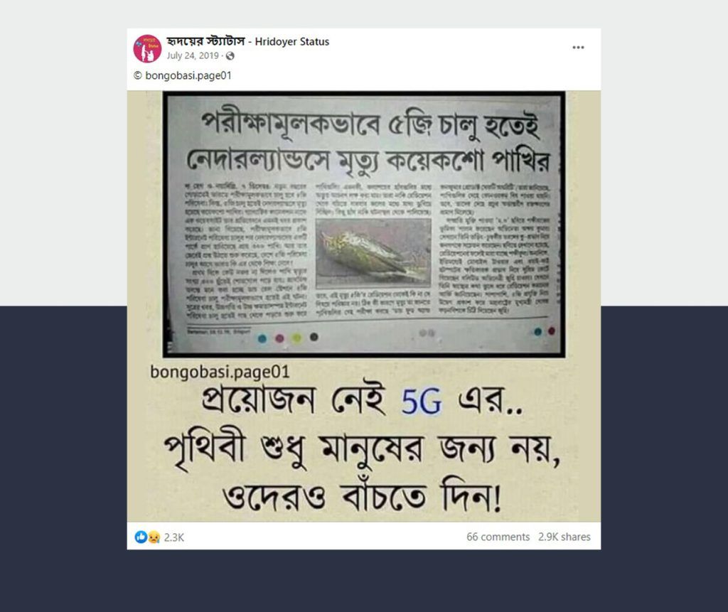 নেদারল্যান্ডসে পাখি মৃত্যু