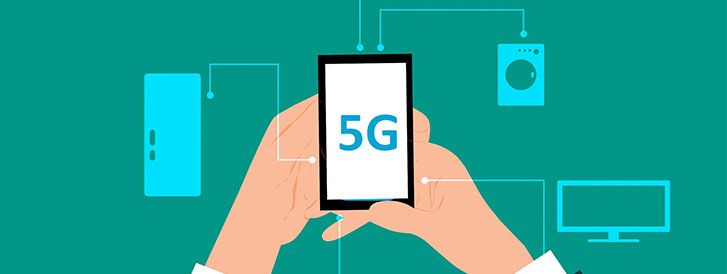 নেদারল্যান্ডসে পাখি মৃত্যু