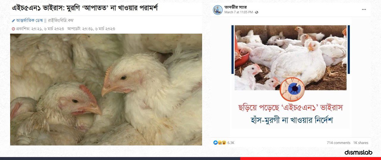 Bird-Flu-Factcheck-Feature-Image