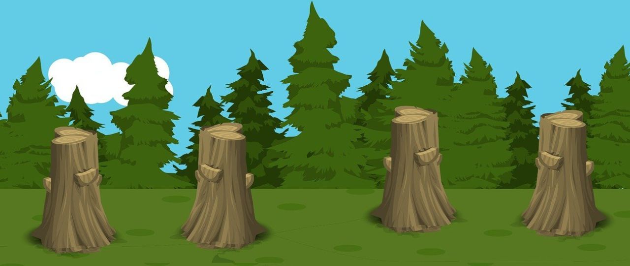Feature Image Cutting Trees