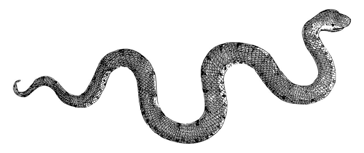 Feature Image (1)