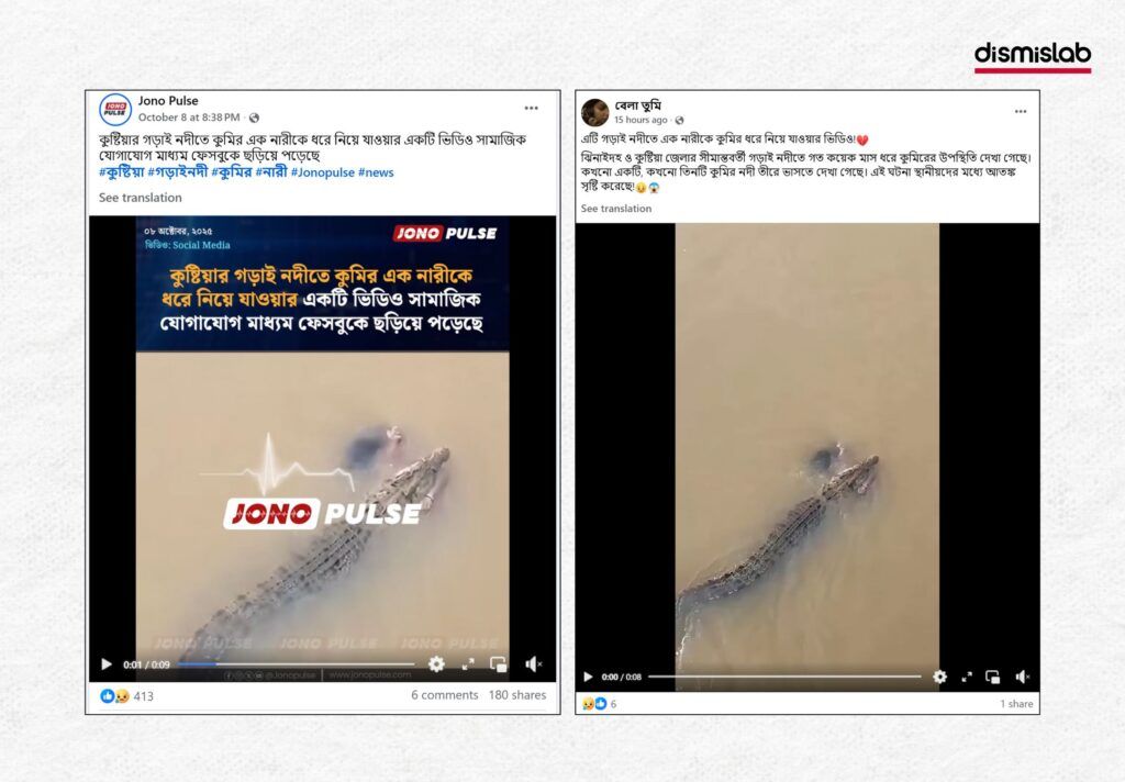 কুষ্টিয়ার গড়াই নদীতে কুমির এক নারীকে ধরে নিয়ে যাওয়ার একটি ভিডিও বলে গুজব