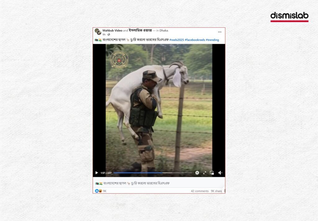 AI-generated video falsely showing BSF soldiers stealing a white goat at the Bangladesh–India border.