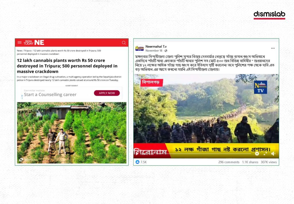 গাঁজা বিরোধী অভিযানের ভিডিও ছড়াচ্ছে ভারত -বাংলাদেশ সীমান্তে সেনা মোতায়েন বলে