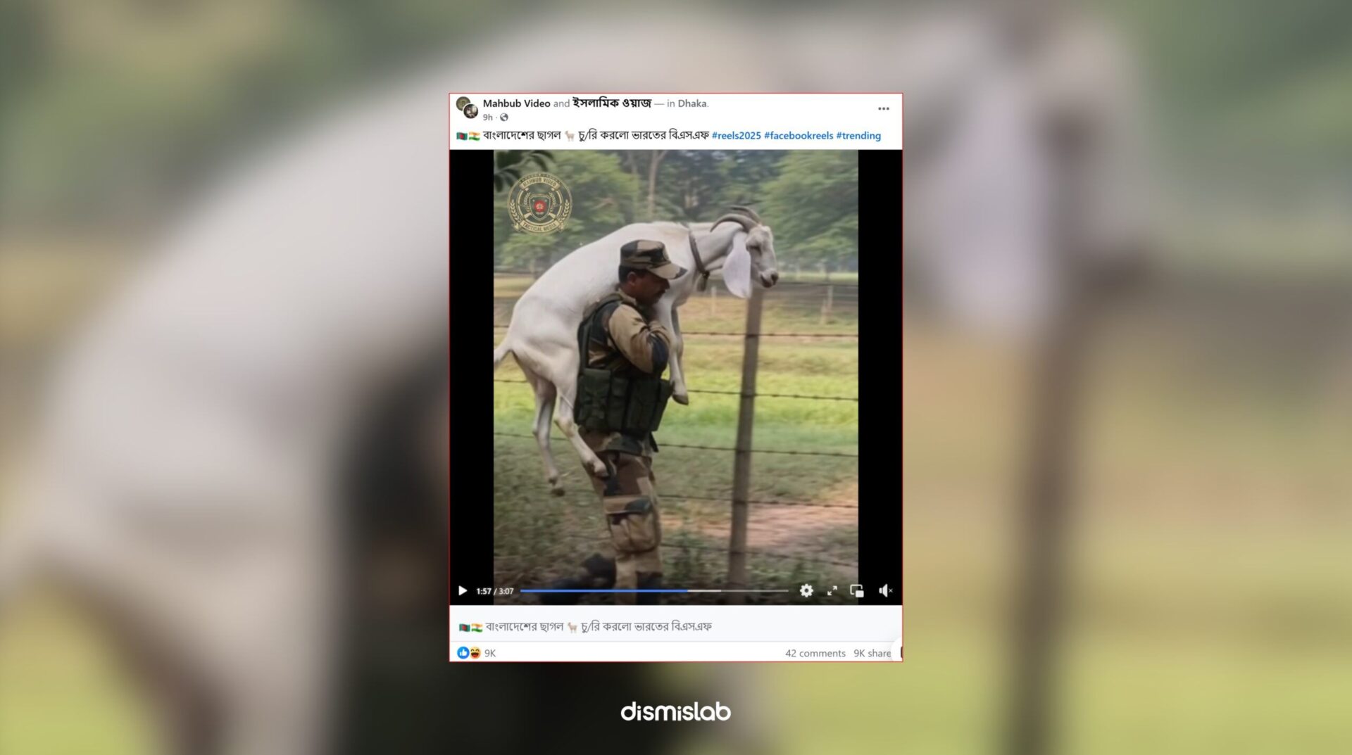 AI-generated video falsely showing BSF soldiers stealing a white goat at the Bangladesh–India border.