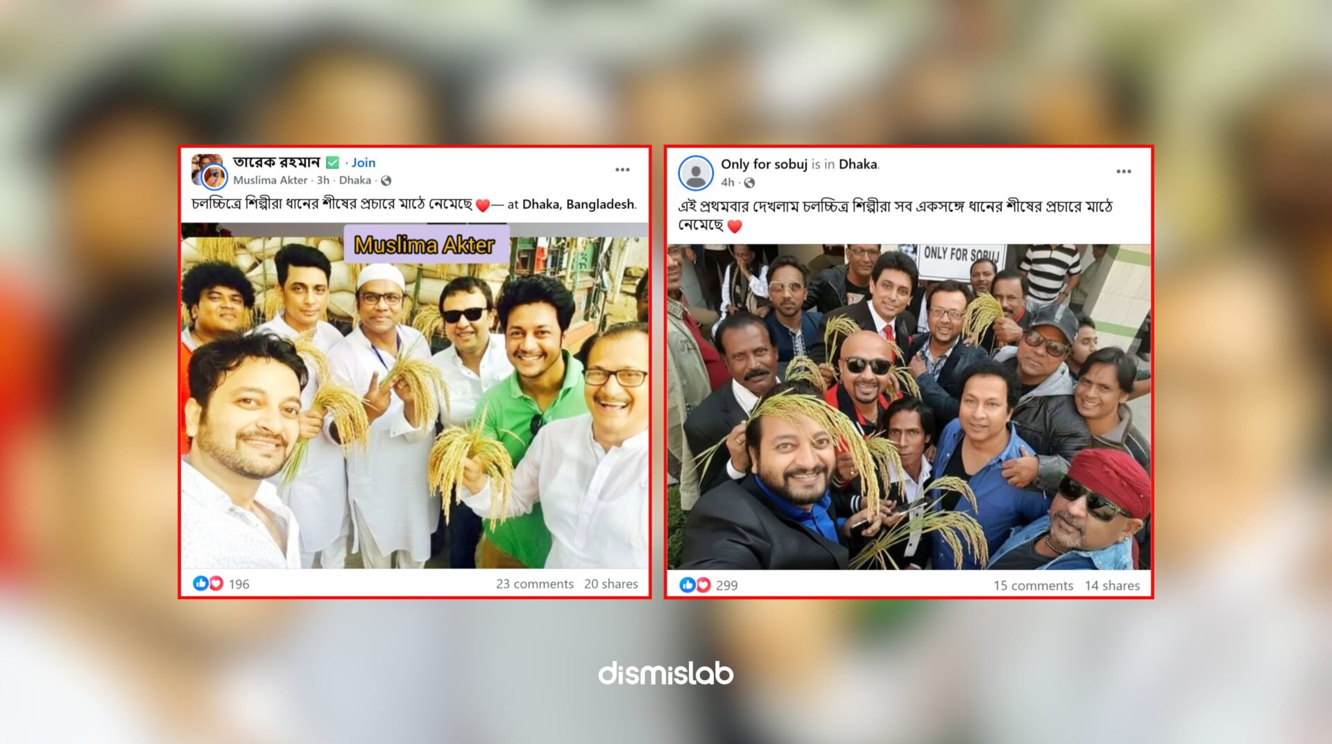 Fact-check image showing edited photos falsely claiming Bangladeshi film actors are campaigning for BNP by holding the sheaf of paddy symbol, shared on Facebook.