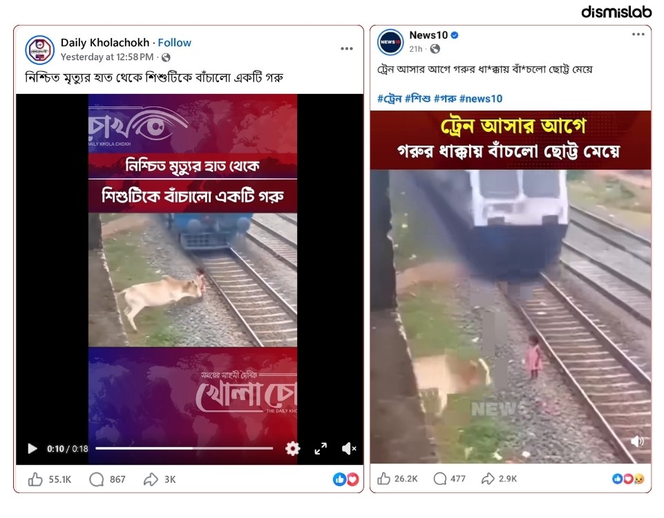ফ্যাক্ট চেক: এআই ভিডিওর গরুর বীরত্বে বোকা বনল বাংলাদেশি সংবাদমাধ্যমও