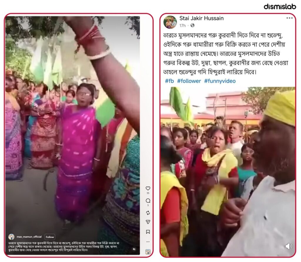 Fact-check image showing a viral video falsely claiming West Bengal cattle farmers protested; the footage actually shows an Adivasi protest in South Dinajpur.