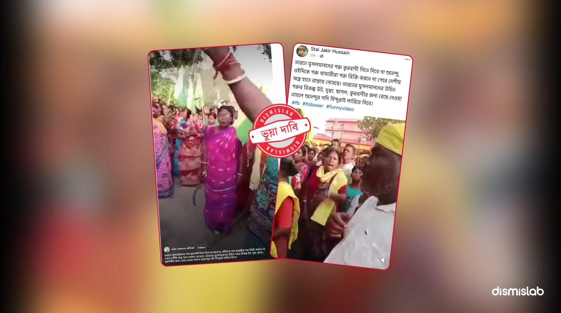 Fact-check image showing a viral video falsely claiming West Bengal cattle farmers protested; the footage actually shows an Adivasi protest in South Dinajpur.