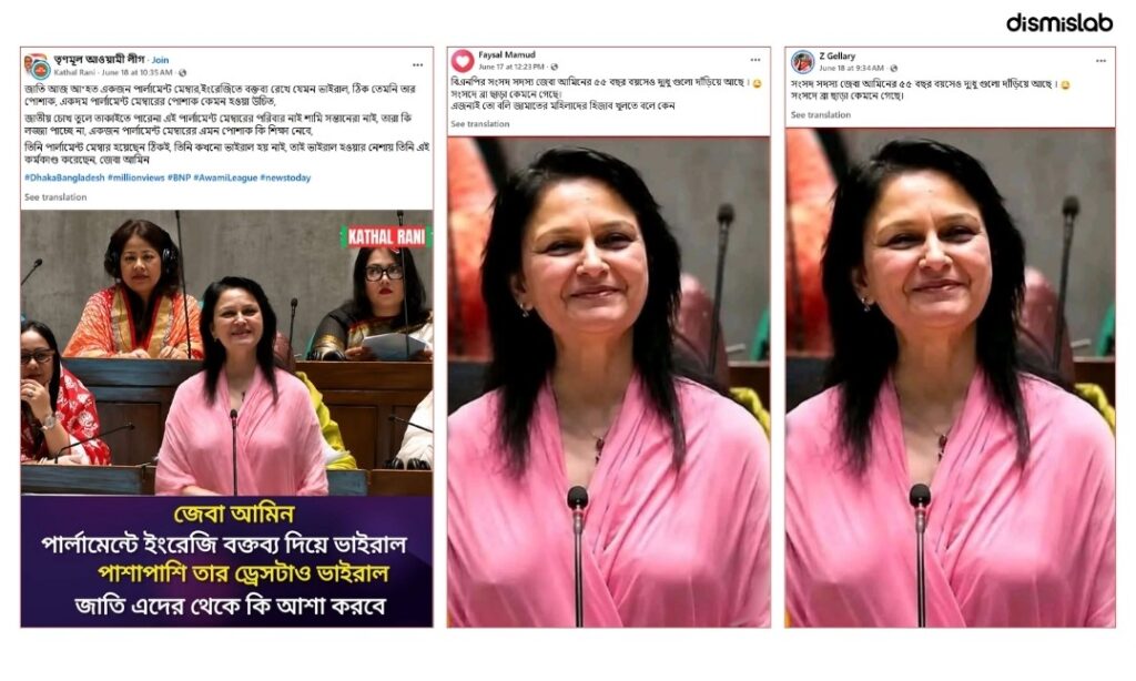 সমালোচনার আড়ালে জেবা আমিনকে ঘিরে যৌন হয়রানিমূলক বক্তব্য প্রচার