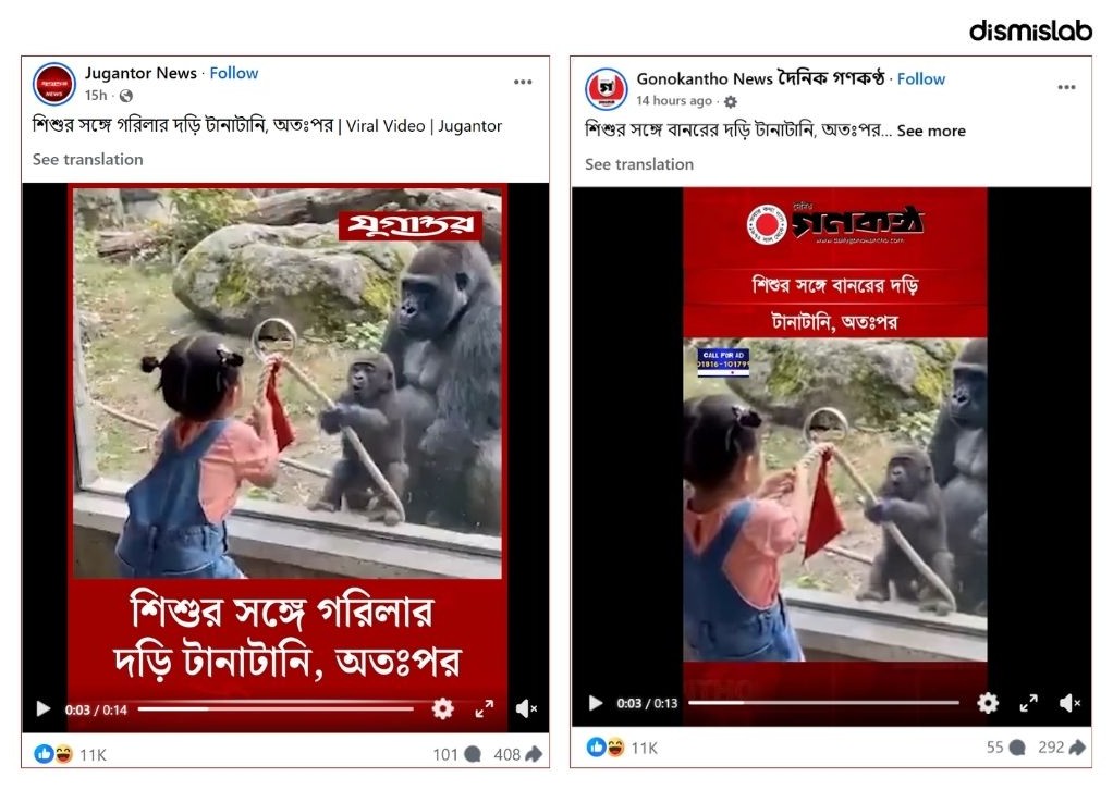 ফ্যাক্টচেক শিশুর সঙ্গে গরিলার দড়ি টানাটানি, এআই ভিডিও