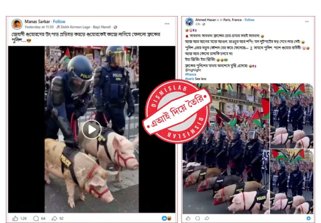 ফ্রান্সে আন্দোলন দমনে পুলিশের শূকর ব্যবহারের ভিডিওটি এআই দিয়ে তৈরি